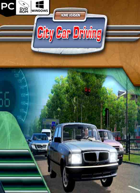 City Car Driving