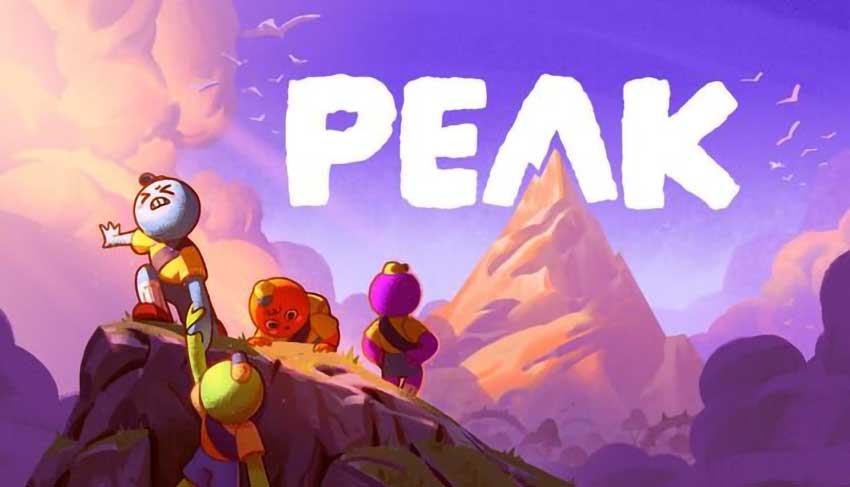 PEAK Banner