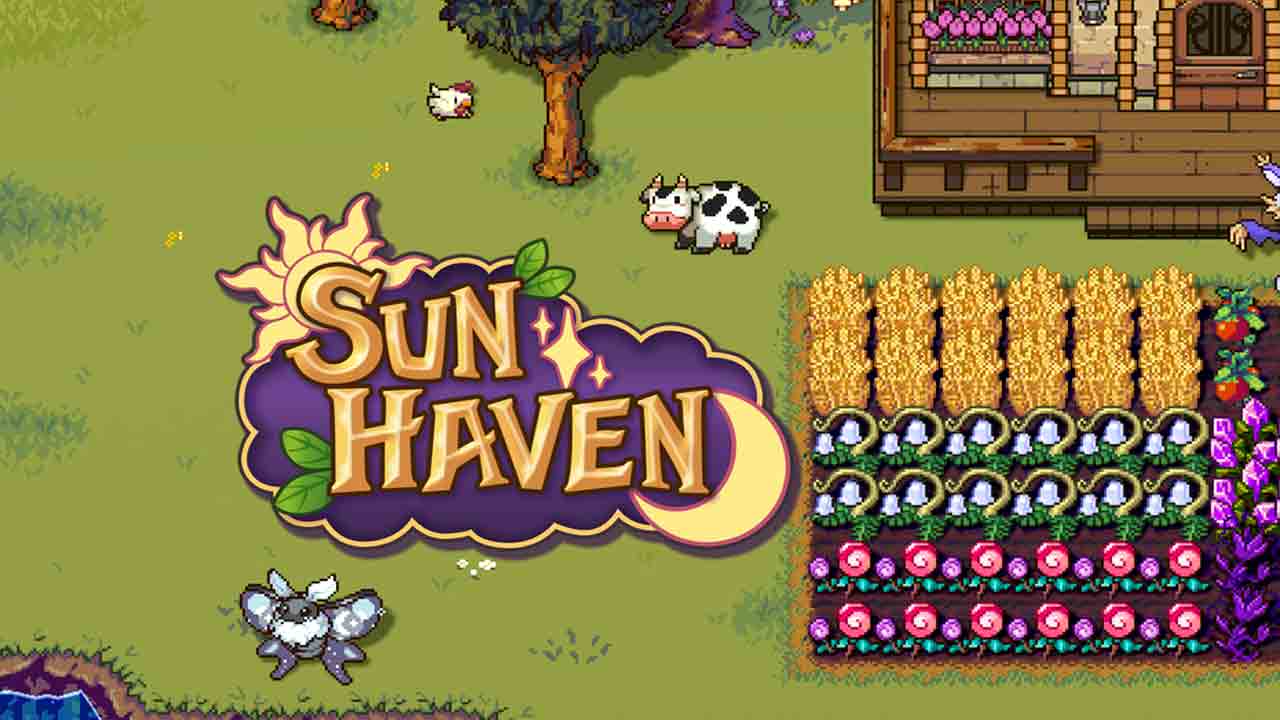 Sun Haven Banner