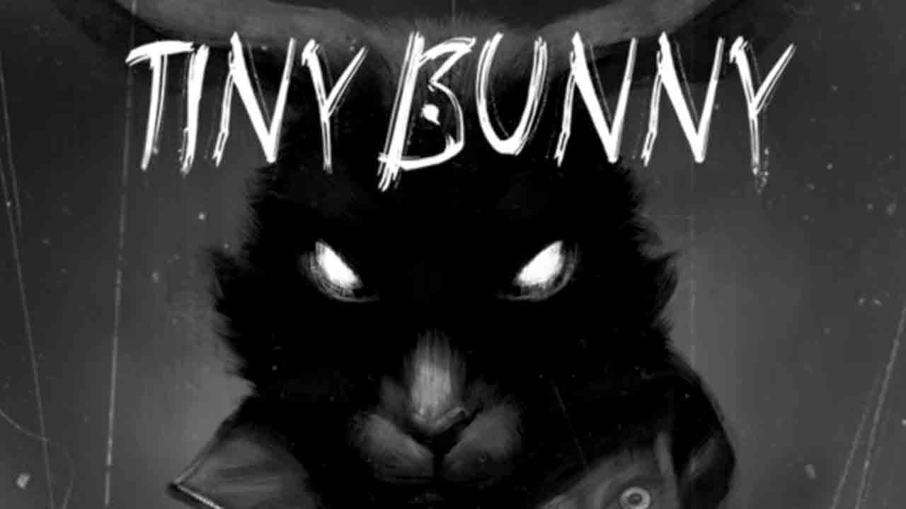Tiny Bunny Banner