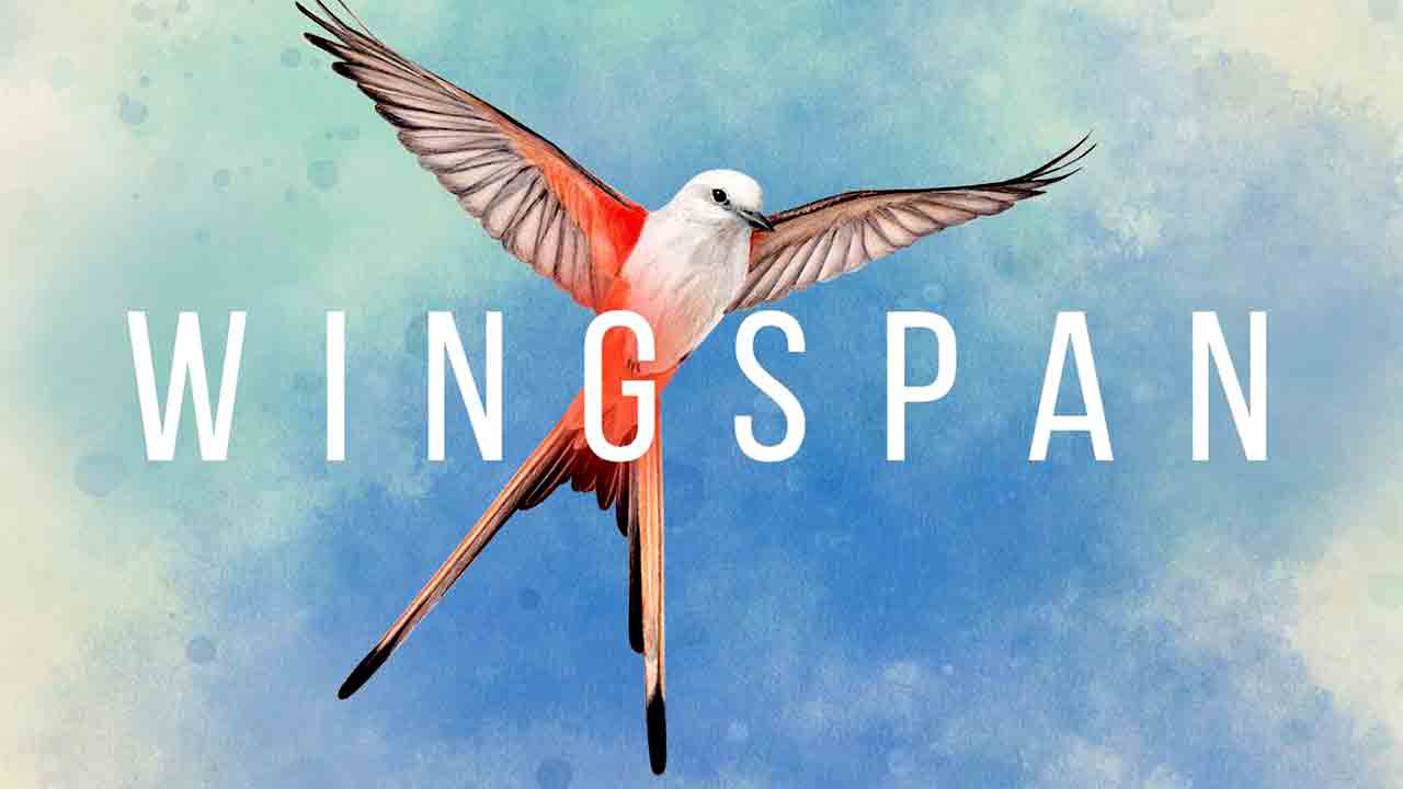 Wingspan Banner
